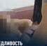 Неплательщик алиментов пытался спрятаться от судебных приставов в диване - УФССП Нижегородской области