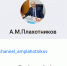Канал главы Котовска Алексея Плахотникова в национальном мессенджере МАКС стал публичным - ИА ПроКотовск