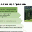 Программу «Чистые леса» утвердят в Ленинградской области до 2030 года - Online47.Ru