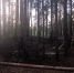 596334a2cd6816d7a72d7635191ae877 - Знамя Труда