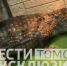 Самый северный крокодил Томской области: как кайман Геннадий III живет в Стрежевом - ГТРК Томск