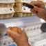 В Туле цены на продукты выросли на 3,67% за полгода - ТК Первый Тульский
