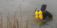 За сутки астраханские водоемы унесли жизни нескольких человек - Punkt-a.info