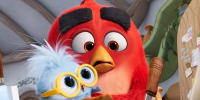 От эпичных битв к родительским заботам: что готовит «Angry Birds в кино 3» - Кубанские Новости