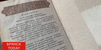 Госдума одобрила запрет на гражданство для иностранцев с судимостью - БрянскToday.Ru