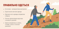 Где чаще всего туляков кусают клещи - ИА Тульская пресса.Ru