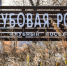 Часть клубного посёлка «Дубовая роща» в Соловей-Ключе возвращают государству - NewsVl.Ru