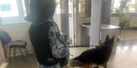 На автовокзалах Подмосковья провели более 30 антитеррористических тренировок - РТВ-Подмосковье