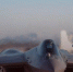 Военный истребитель Су-57 потерпел крушение в Подмосковье - Сетевое издание Толк