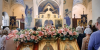 Источник: mmom.ru - ИППО
