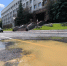 IMG_20260723_115605.jpg+2026-07-23-14.01.05+niz.jpg - Gorod48.ru