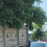 В Таганроге продолжается облава на старые ЗИЛы и Жигули - Bloknot-Taganrog.Ru