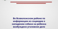 Во Всеволожском районе по информации из соцмедиа о нападении собаки на ребенка возбуждено уголовное дело - Следственный комитет