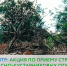 MOV_20260723_161828_854 - Сетевое издание Арбуз