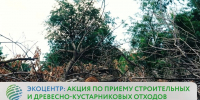 MOV_20260723_161828_854 - Сетевое издание Арбуз