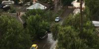 Молнии бьют по людям: что делать, если гроза застала вас на пляже, в поле или в лесу - КТВ-ЛУЧ