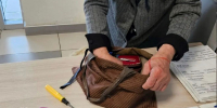 В суд – без запрещённых предметов: судебные приставы напомнили о правилах пропускного режима - УФССП Республики Татарстан