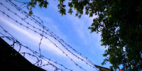 Руководителя управления образования Асбеста отправили в СИЗО за превышение полномочий - УралПолит.Ru