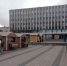 Ягодная ярмарка в Петрозаводске - Петрозаводск говорит