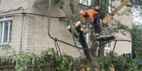 4,7 тысячи жителей Борского района остались без света из-за грозы - Сетевое издание Живем в Нижнем