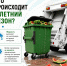 Волгоградцев попросили правильно выбрасывать кожуру арбузов и дынь - Riac34.Ru