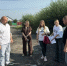  Контроль обустройства контейнерных площадок: итоги проверки - Карасукский район