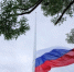Российский флаг на 50-метровом флагштоке подняли в Пскове в День города - Собрание депутатов