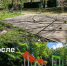 7894637843.JPG - Администрация г. Ростов-на-Дону