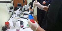 Школьники Кингисеппа познакомились с профессией криминалиста - Кингисепп-сегодня.рф