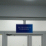 DSCF8203 - Сетевое издание Арбуз