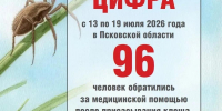 1642 человека в Псковской области столкнулись с присасыванием клещей с начала сезона - Pln-Pskov.Ru
