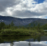 природа - ИА Nord-News.Ru