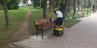 В Курске почистили качели и отремонтировали 40 лавочек - Курские Известия