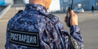 Курьеров с 16 килограммами наркотиков задержали в Пензенской области - Газета Краснодарские известия