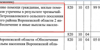 Названы бюджетные расходы на устранения последствий из-за аварийного схода авиабомбы в 2024 году под Воронежем - Bloknot-Voronezh.Ru