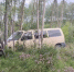 На Лотте Volkswagen укатил в лес - SeverPost.ru