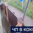 Вести 24 - ГТРК Санкт-Петербург