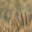 lr0yh0oz1jjwj3gwcwo0a8wvkitrhm64 - Novosti-Saratova.Ru