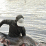 wsknzpi6tw67p1gmebg7pozo9oq24ods - Novosti-Saratova.Ru