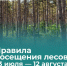 Севприроднадзор ввел ограничения на пребывание в лесах - Севприроднадзор