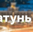 «Катунь 24»: В реликтовом бору Барнаула начали необычный научный эксперимент - АГМУ