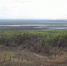 Скотомогильники готовят к очистке в двух округах Приамурья - Teleport2001.Ru