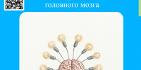 Заботимся о здоровье мозга: профилактика когнитивных нарушений - Областной хоспис