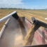 Фото: министерство сельского хозяйства Приморского края - НИА Владивосток