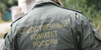 Фото: https://penza.sledcom.ru - Penza-Post.Ru