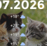 Bazaart_8D1B4E01-D850-49C3-A725-4F34796B36B3 - ЗА Новомосковск
