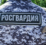 В Красноярске сотрудники вневедомственной охраны Росгвардии задержали женщину, подозреваемую в краже растений из торгового центра - Росгвардия