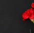 Фото: Pixel-Shot/Shutterstock/Fotodom - Ямал-Медиа
