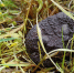 Вологодскую область 24 июля накроют дожди и грозы при тепле до 25 градусов - ProGorod35.Ru