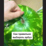 Юлин топчик. Как выбрать сладкий арбуз - Ulpravda.Ru